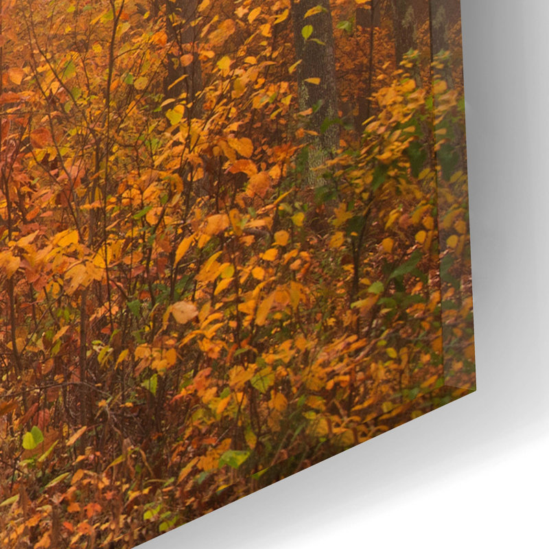 «Passing Through» par Patrick Zephyr, art mural en verre acrylique, H 12 po x l 16 po x P 0,13 po