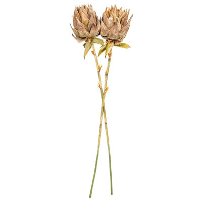 42,5 plante