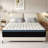 Alwyn Home Timera  Medium Hybrid Mattress-7704306-62865663
