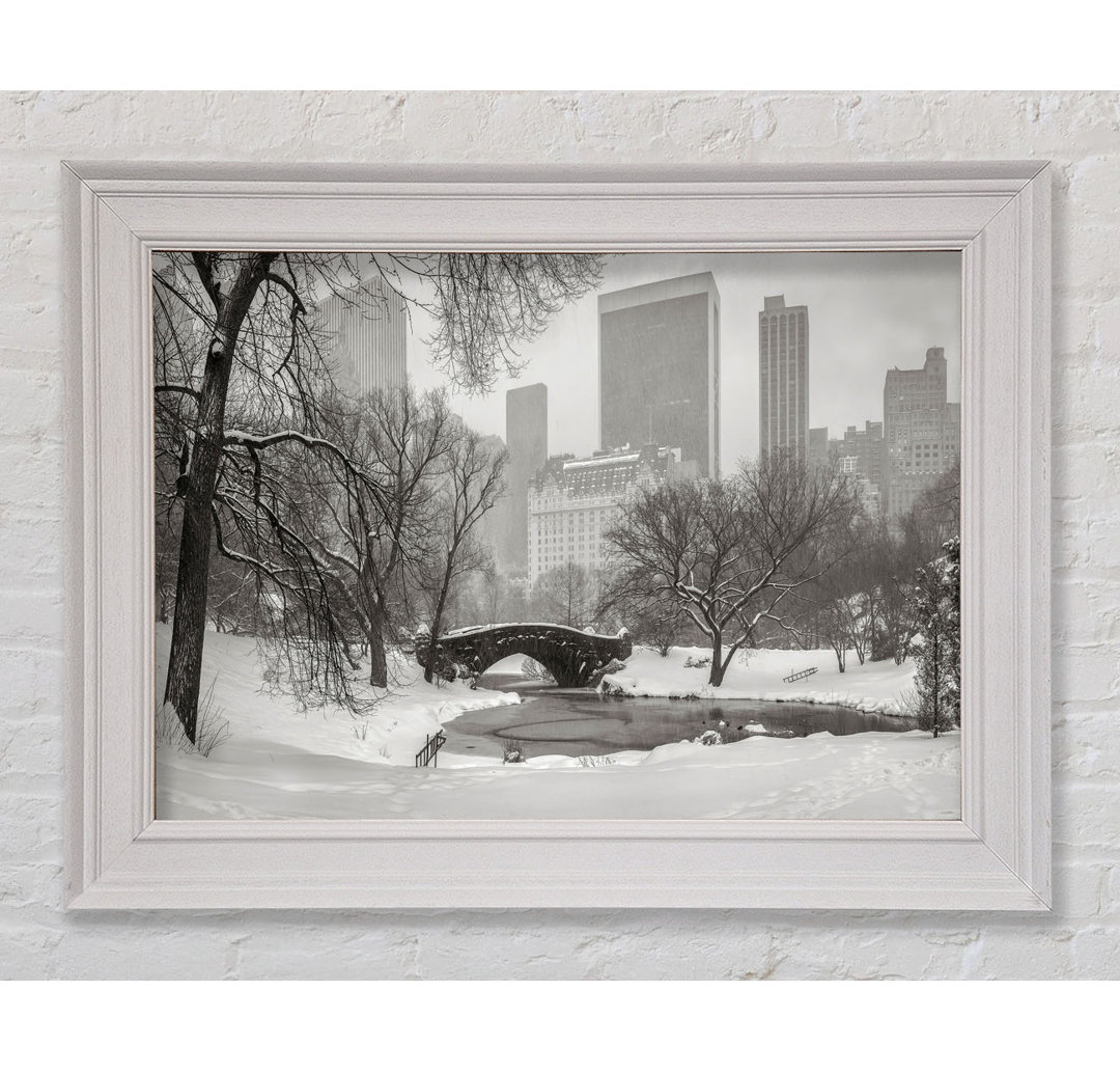 Winter Snow In Central Park - Einzelne Bilderrahmen Kunstdrucke