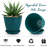 6 inch Plant Pots 5 Pack-846098986