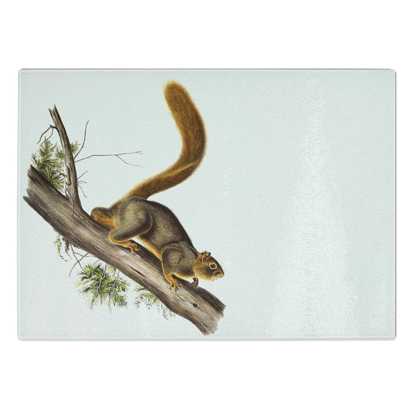 Tempered Glass Squirrel by J.W. Audubon Chopping Board, 39 cm W x 28.5 cm L