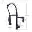 Belfry Kitchen Grifton Pull Down Kitchen Faucet