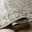 Antonella Oriental Indoor Rug-15243901