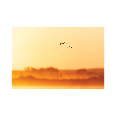 Golden Morning by Mateusz Piesiak - Wrapped Canvas Print