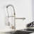 AlenArtWater Pull Down Kitchen Faucet