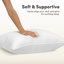 Oreiller Sleep by Wayfair™ en duvet-120887179-120887177