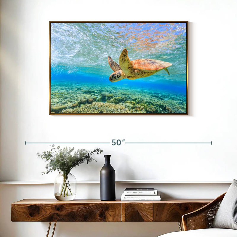 Turtle Dive, 37" X 25", Floating Frame Gold