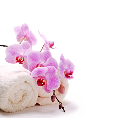 Spa Treatment by Moncherie