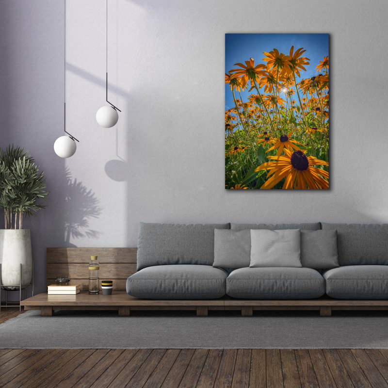 "Epic Graffiti" Black Eyed Susans Bask In The Sun "par Rick Berk, art mural sur toile