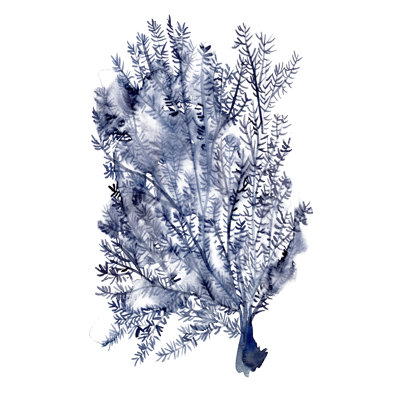 Seaweed Under Water II by Melissa Wang - Painting on Canvas