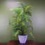 70cm Faux Fern Plant in Planter