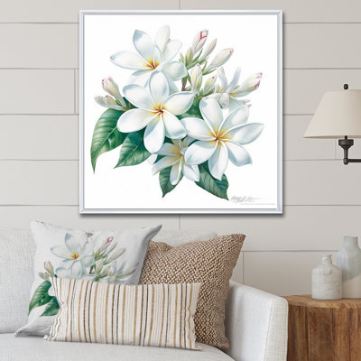 Plumeria charmante et élégante