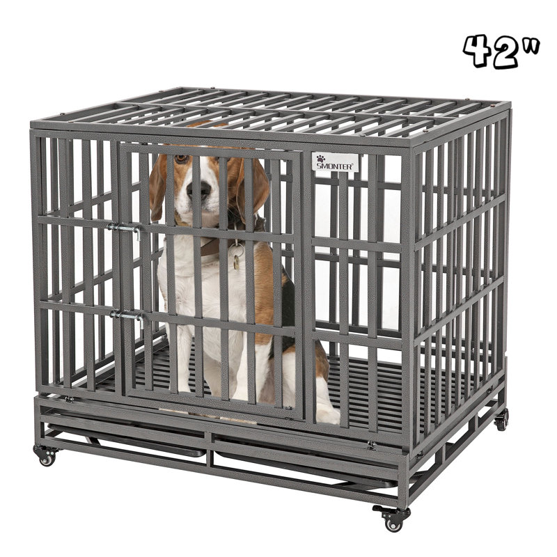 Caisse pour animaux, H 37,4 po x l 41,3 po x P 30,3 po