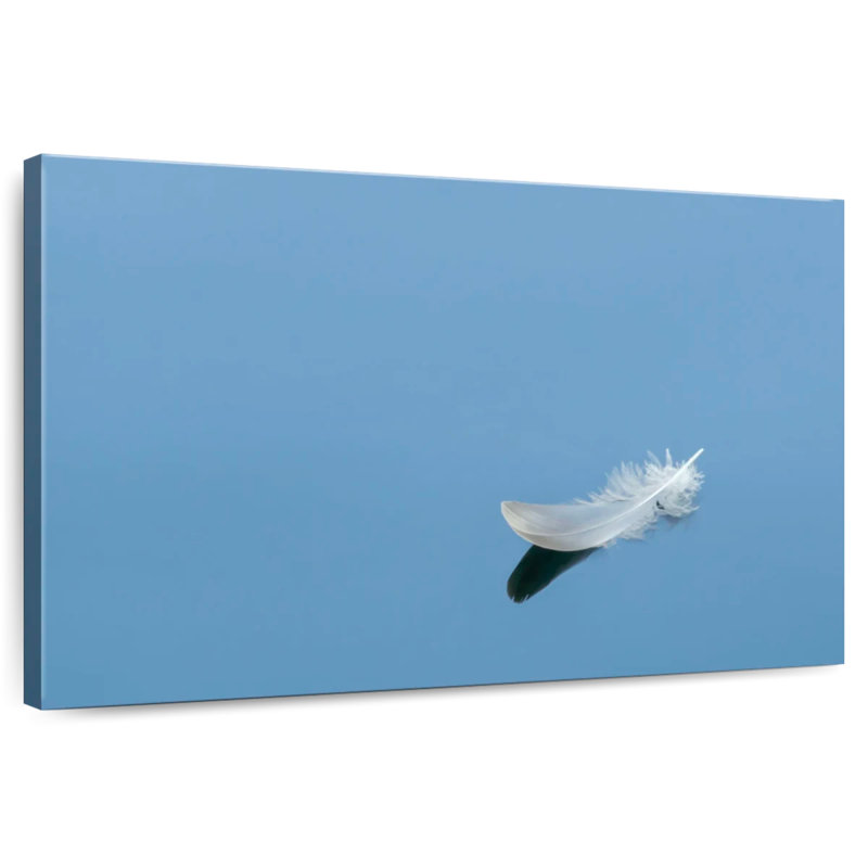 Plume blanche sur fond bleu Kerner, H 8 po x l 12 po