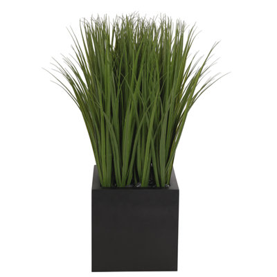 UV RATED Grass, Black Cube, 36wx36dx46h