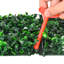 Mur d'herbe - 10 po-2042792655