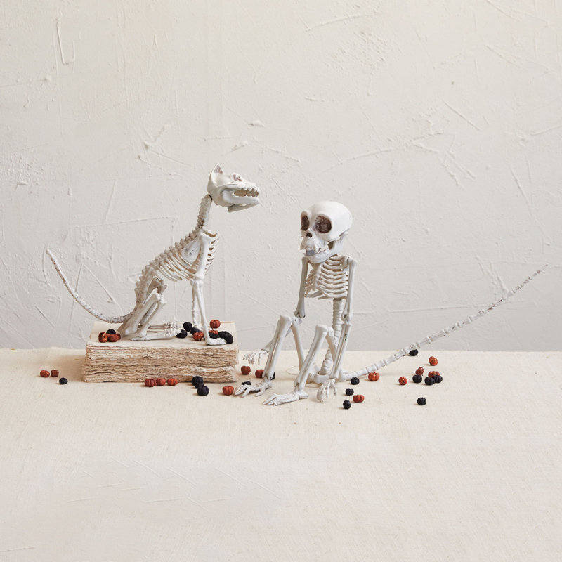 Plastic Monkey Skeleton Décor