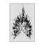 Tapis noir Phoenix-1592619540