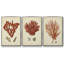 Ensemble de 3 toiles tendues Shell Collection-1798601472-1798601487