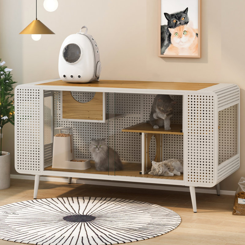 Spacieux chat blanc avec cadre en bois de sapin et en fer, maison moderne en verre trempé inclus, cadre en fer, portes idéales pour les espaces de vie