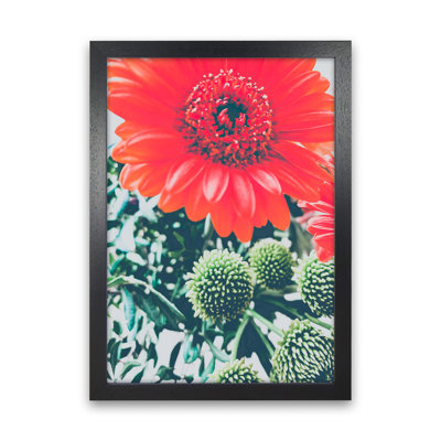 Gerbera 1 Piece Wall Art
