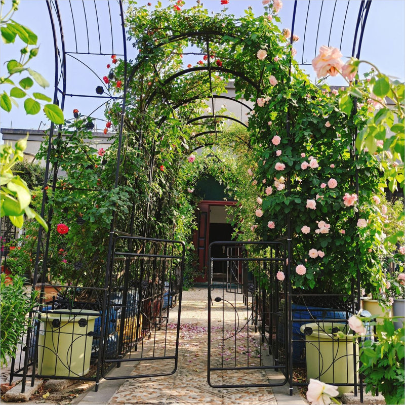 Galvanized Steel Gate with, 86.55" H x 19.69" W