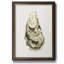 Neutral Oyster Study III - Peinture sur toile encadrée-751201301