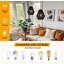 Temara 1-Light Rattan Plaited Pendant Chandeliers-1183647724