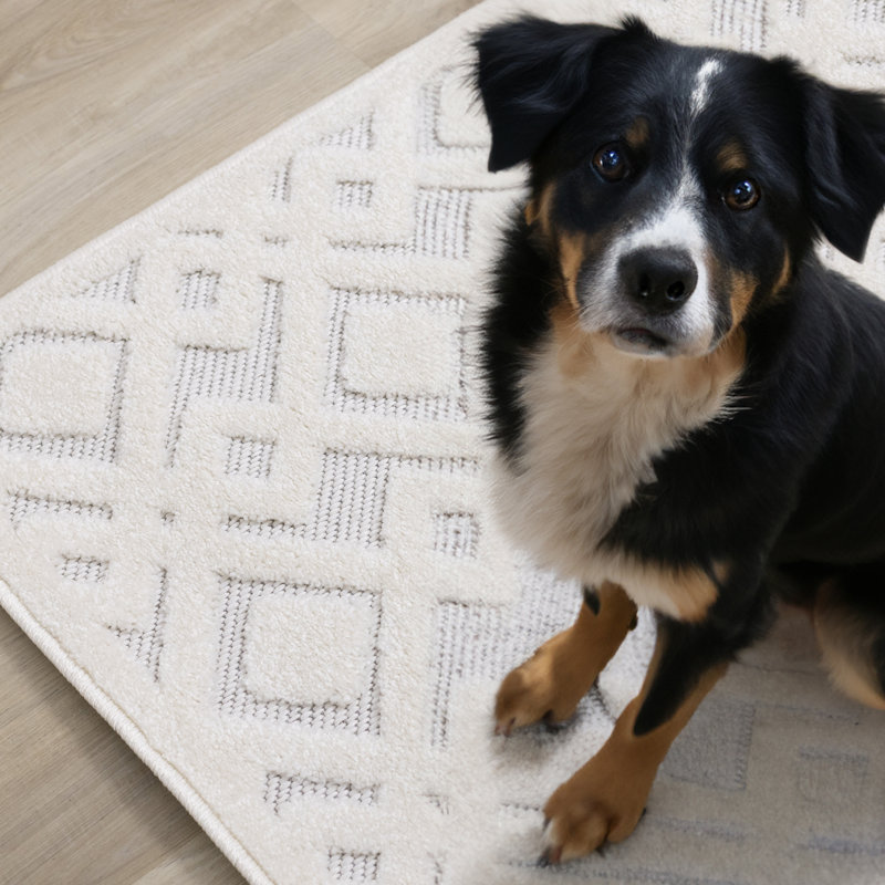 Kozlov Geometric Machine Woven Polypropylene Area Rug in Cream, Rectangle 7'10" x 10'6"