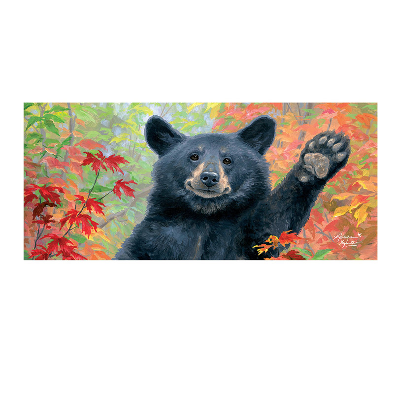 Tapis de jeu Wild Greeting Sassafras