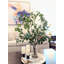 Ficus, saule, branches artificielles dans un vase