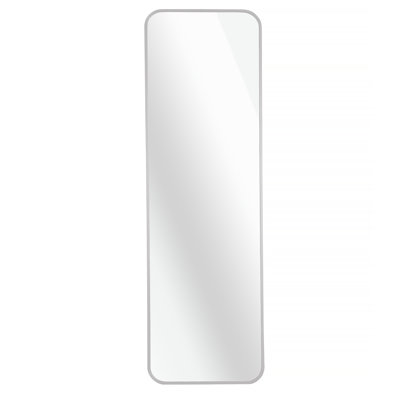 Door Mirror