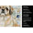 Fawn Pekingese Coastal Sea Glass Kitchen Towel-871464022