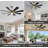 Deallen 72'' Ceiling Fan with LED Lights-1249957706