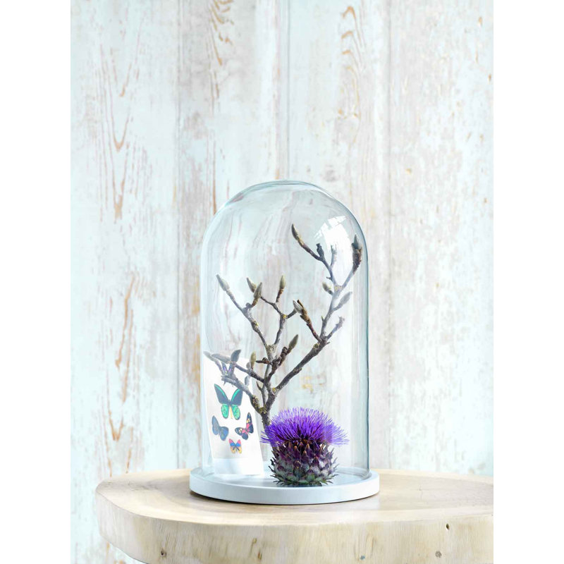 August Grove Glass Cover, Grey