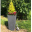 Plant Pot-795294480-788838800