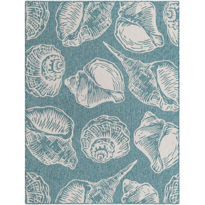 Contemporary Aviesel Area Rug Aqua Color