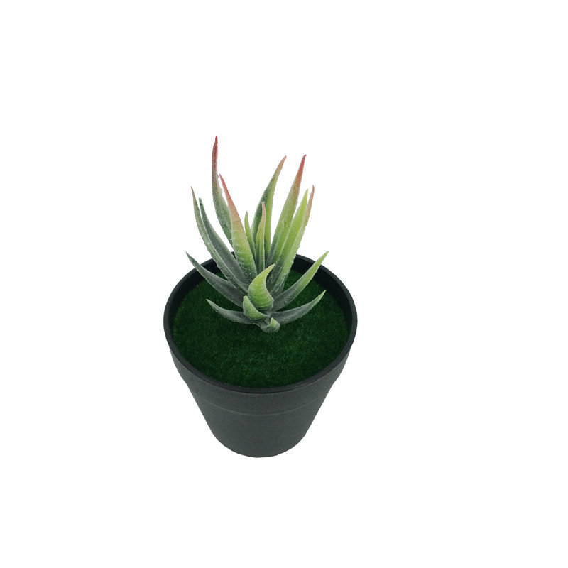 3,5 po x 3,5 po x 7 po de diamètre avec plante grasse verte artificielle Aloe Vera