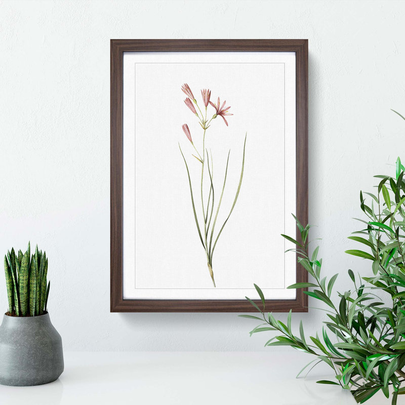 Amaryllis Flowers 1 Piece Single Picture Frame Painting, 33cm H x 24cm W x 2cm D, Walnut Framed