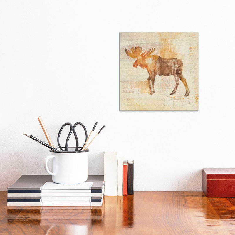 Moose Study by Studio Mousseau - Wrapped Canvas Print, 30.48 cm H x 30.48 cm W