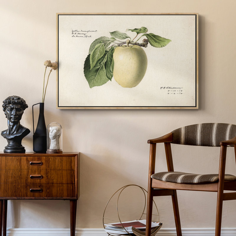 «Vintage Botanical - XLV» sur toile, Toile avec cadre flottant brun, H 25 po x l 17 po x P 2 po