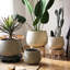 Rustic Globe Cement Planter-999360310-999360312