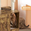 Litter Box Enclosure