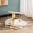 Solid Wood Elevated Pet Bed