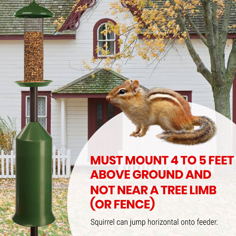 Plastic Squirrel Guard