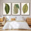 Collection de feuilles I - ensemble de 3 reproductions de photos sur toile-97754133-97754134