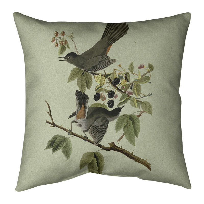 Housse et insert de coussin carré John Bird Audubon, 26 po x 26 po, Vert, Bourre en polyester
