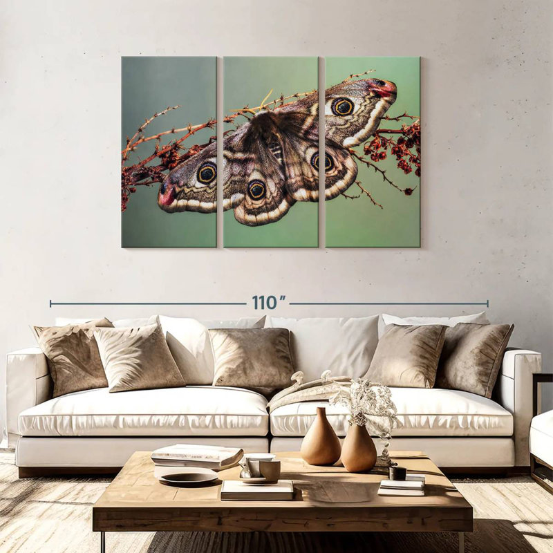 Emperor Moth, 48" H x 74" W