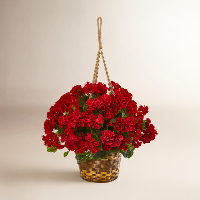 UV Resistant Geranium Hanging Basket